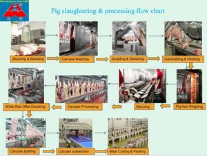 Vaca sacrificio equipo matadero delantal lavadora - Product Image 6