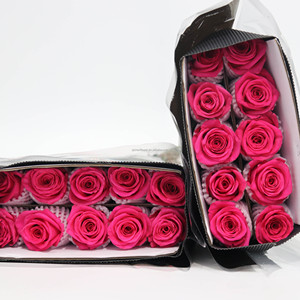 Rosa Rosa Fresca Premium All'ingrosso, Rosa Fresca Tagliata, Centro Floreale DouNan, Bouquet, Beloved Express, Attraverso i Miei Sogni - Product Image 5