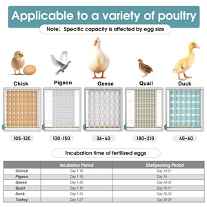 Capacité <span class=keywords><strong>de</strong></span> vente chaude classique 120 incubateurs d'œufs <span class=keywords><strong>de</strong></span> poule dans une machine à couver avec 5 modes d'<span class=keywords><strong>incubation</strong></span> pour la volaille - Product Image 6