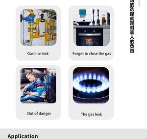 Mini détecteur de fuite de gaz 433 MHz, détecteur de fuite de gaz GPL, détecteur de gaz combustible naturel pour système de sécurité domestique - Product Image 6