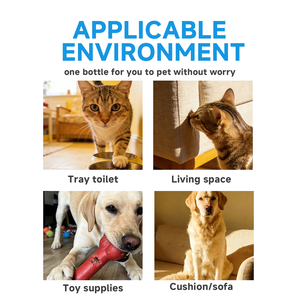 Huisdier Deodorant Bodyspray met Langdurige Geur Natuurlijke Geurverwijderaar voor Honden & Katten Siliconen Materiaal Op Voorraad - Product Image 6