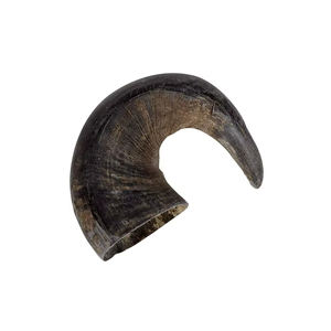 Cuerno de búfalo natural de alta calidad disponible para compradores mayoristas que necesitan un volumen constante - Product Image 6