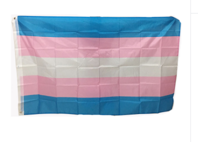 Drapeau transgenre