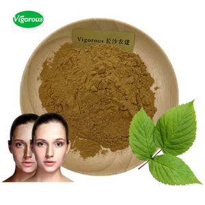 保健用高效覆盆子叶提取物粉末 | 100% 水溶性粉末 | 散装供应商 - Product Image 1