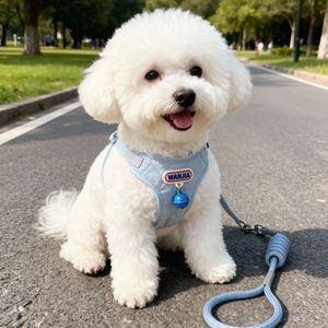 Harnais et laisse pour chien rembourrés et respirants, bleus, avec clochette, pour la promenade en extérieur, pour petits chiots et animaux de compagnie de type Bichon - Product Image 1