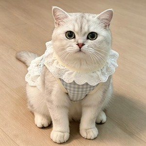 ชุดเดรสลายสก็อตสีน้ำเงินสำหรับสัตว์เลี้ยง น่ารัก ไร้แขนเสื้อ พร้อมโบว์ผูก ผ้าฝ้ายระบายอากาศ ชุดกระโปรงฤดูร้อนสำหรับสุนัขและแมวตัวเล็ก - Product Image 4