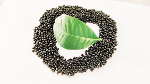 Độ sáng cao masterbatch màu đen cho ép phun nhựa cho PE và <span class=keywords><strong>PP</strong></span> cho đường ống trong công nghệ phim thổi - Product Image 4