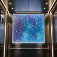 Painel de Teto para Cabine de Elevador com Padrão Artístico, Acabamento Espelhado, Metal Impermeável para Elevador Residencial