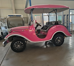 Véhicule de tourisme électrique vintage classique à vendre : 80-100 km d'autonomie, 6-14 places, <span class=keywords><strong>alternateur</strong></span> 4000W - Product Image 1