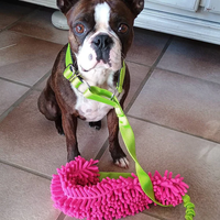 Jouets pour chiens colorés personnalisés, accessoires pour animaux de compagnie, laisse en polaire tressée 3-en-1 avec jouet en fourrure de renard, parfait pour les entraînements d'agilité
