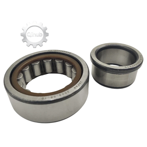 Rodamiento de Caja de Cambios de Alta Calidad, Rodamiento de Transmisión para Automóviles 25*52*18 0295Y0711 0098861130 016734696-0000-02 EA-NJ2205AP6V3 - Product Image 3