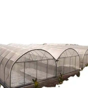 Grandes invernaderos agrícolas, jardín moderno, túnel de película plástica, tomate, semillas vegetales, vivero, estructura de casa verde multi span