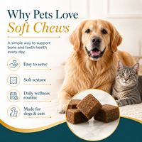 Complément alimentaire pour chiens et chats, soutien osseux, comprimés à mâcher doux, calcium K2 vitamine D3, renforcement buccal, prix d'usine, OEM ODM
