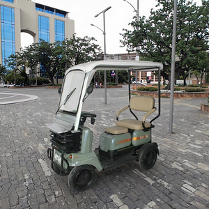 Triciclo Elettrico a <span class=keywords><strong>4</strong></span> <span class=keywords><strong>Ruote</strong></span> con Carrozzeria Chiusa per Adulti, Prezzo di Fabbrica, Velocità 30KM/H, Motore 48-60V, 2 Posti - Product Image 2