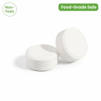 Tablettes Nettoyantes Solides Écologiques de Qualité Hôtelière pour Machines à Café – Approvisionnement en Gros 11g – Détartrage et Désodorisation en Dose Unique