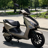 Scooter électrique CKD SKD 12 pouces à 2 roues, 1100/1300W, vitesse 60 km/h, moto électrique pour adultes, vente de motos électriques