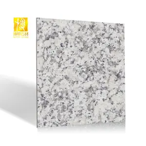 China Supplier Natural Stone White Polished Paving Slabs Customized Outdoor Granite Floor Tiles 60x60