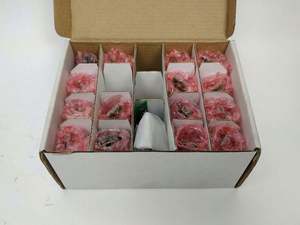 Nuovo Controllore PLC Originale 68677793 per Automazione Industriale e Programmazione di Magazzini - Product Image 6