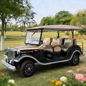 Auto Elettrica Retrò di Lusso Omologata per la Circolazione Stradale, 6-8 Posti, Auto Classica Vintage, Auto VIP di Alta Gamma per Ricevimenti - Product Image 1