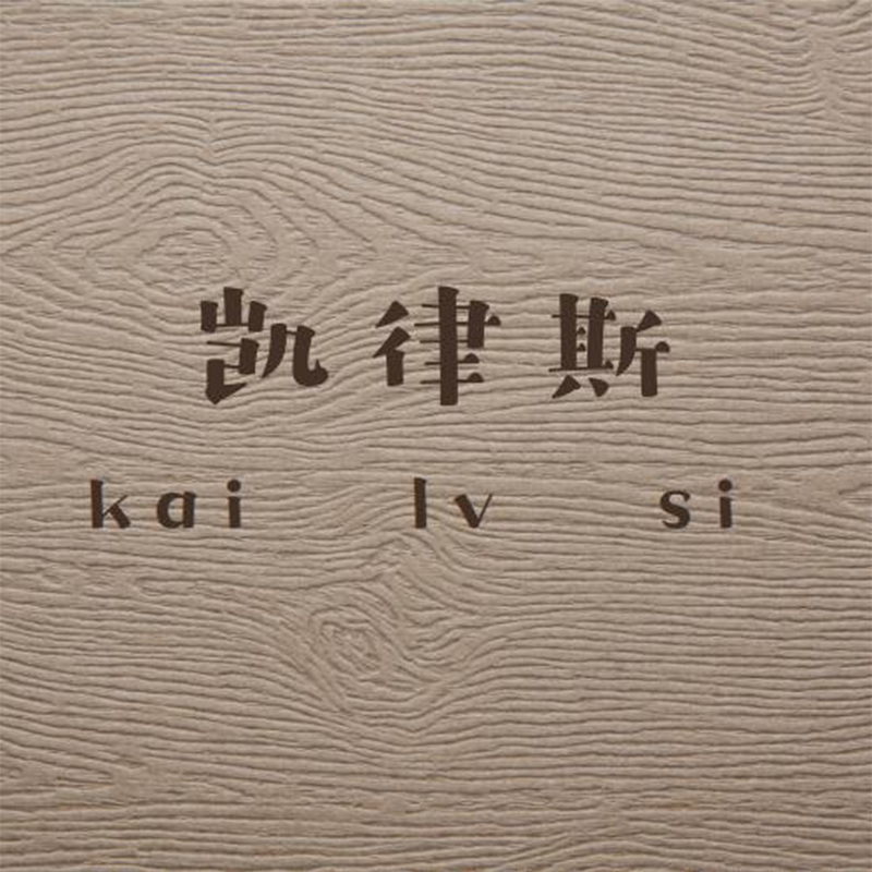 Zhongshan Kaivsi Clothing Co., Ltd. logo