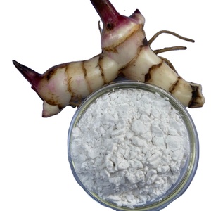 Almidón de arrowroot de primera calidad, harina blanca en polvo, tipo nativo de Vietnam, almidón de raíz - Product Image 1