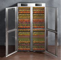 Zonne-Energie Fruit Droogmachine/Droger/Zonne-Vis Seren Voedsel Groente Tomaat Dehydrator Apparaat