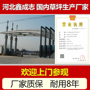 Césped artificial en rollo de alta densidad, polietileno verde para exteriores e interiores, para parques infantiles y campos de golf - Product Image 5