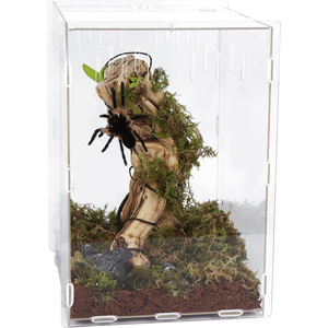 Réservoir d'élevage transparent personnalisé pour reptiles, terrarium, araignée tarentule, boîte d'alimentation, habitat d'insectes pour lézard - Product Image 1