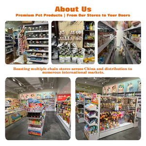 ถาดรอง<span class=keywords><strong>ฉี่</strong></span>สัตว์เลี้ยงแบบพกพา ทำจากสแตนเลสและพลาสติก PP ทนทาน สำหรับ<span class=keywords><strong>สุนัข</strong></span>และแมว ใช้ฝึกขับถ่าย ทำความสะอาดง่าย - Product Image 4