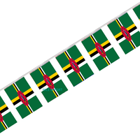 Guirlande de mini-drapeaux de la Dominique pour la décoration de fêtes scolaires, salles de classe et événements sportifs