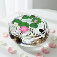 Vase en verre, bol pour plantes, pot de fleurs pour lotus, pétunia, narcisse, culture hydroponique, plantes vertes, salon, balcon, table