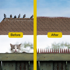Vente en gros de nouvelles pointes d'oiseaux en plastique réutilisables pour l'extérieur <span class=keywords><strong>anti</strong></span>-escalade - Product Image 4