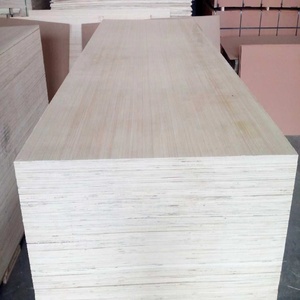 Compensato di pioppo bianco anti-deformazione per veicoli elettrici, superficie pulita, facile da verniciare e lucidare per lavori artigianali - Product Image 6