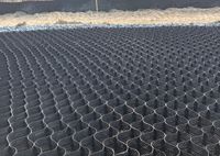 Geocelda de HDPE de 150-445 mm / Rejilla de Grava en Forma de Panal para Caminos de Entrada