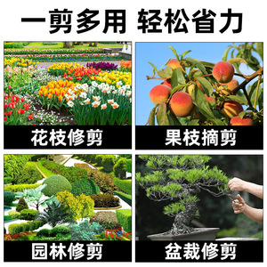 Kyushu Garden Pruning Shears Stainless Steel Bypass For Garden Flower <b>Tree</b> Trim Orange Handle - Product Image 4