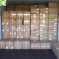 Groothandel Top Verkoop Gedroogde Chinese Zwarte Wolfbes Populaire Gedroogd Fruit
