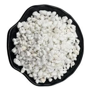 Expandiertes Hydrophobes Perlit und Sandsubstrat für Gemüseanbau und Gartenbau - Product Image 1