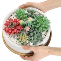 Pot de fleurs d'intérieur en marbre blanc de 8 pouces Jardinière de fleurs de cactus avec drainage Base de plateau en bambou amovible Pot de fleurs en marbre