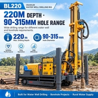 Foreuse sur chenilles BL220 220m pour puits d'eau, machine de forage de 90-315mm pour puits et irrigation agricole
