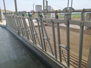 Granja vaca casa acero tubería oveja cabra vaca cabeza bloqueo caliente galvanizado ganado alimentador Fácil instalación - Product Image 3