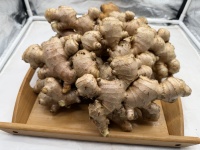 Graines de gingembre frais de qualité supérieure Gingembre séché Fournisseur biologique Gingembre frais de Chine