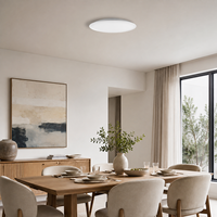 Plafonnier rond blanc uni en ABS, lampe de plafond LED moderne en ABS pour l'éclairage des chambres d'hôtel, idéal pour l'inventaire et les scénarios d'éclairage.
