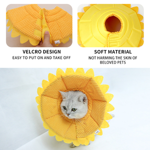 एलिज़ाबेथ लक्जरी कुत्ते और बिल्ली कॉलर-इको-फ्रेंडली पॉलिएस्टर फाइबर आरामदायक आधुनिक डिजाइन - Product Image 2