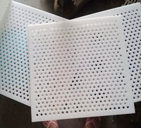 Paneles de techo acústicos ecorativos, lámina de malla perforada personalizada de HDPE
