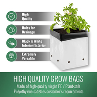 Sac de culture en matière LDPE recyclable avec trous de drainage perforés pour pépinière, jardin, fleurs, légumes, fruits, plantes, intérieur et extérieur