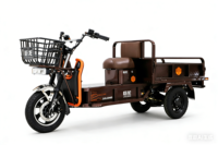 Tricycle électrique à 3 roues JULONG JN6 1000W, charge lourde, 45 km/h, batterie au plomb-acide 72v, chargeur, utilisation familiale, chariot rétractable
