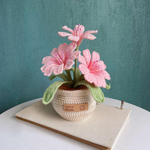 Macetas de Flores Tejidas a Crochet al por Mayor, Hechas a Mano, para Suculentas, Regalos para Boutiques Minoristas - Product Image 4