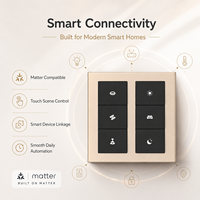 Panneau de commande intelligent pour maison connectée Matter, écran tactile IPS 4 pouces, Zigbee, commande vocale Alexa, interrupteur KNX, pour appartement, hôtel