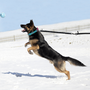 OEM 5M 10M 15M naylon dayanıklı uzun köpek tasma kaymaz lateks köpek eğitim tasma ayarlanabilir köpek tasma - Product Image 6