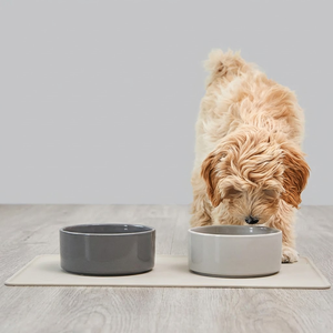 Tigela Oval de Cerâmica para Cães e Gatos, Grau Alimentício, Durável, 200ml, Antiderrapante, Fácil de Limpar, Cor Personalizável, Prato de Água, Atacado, MOQ1000 - Product Image 1